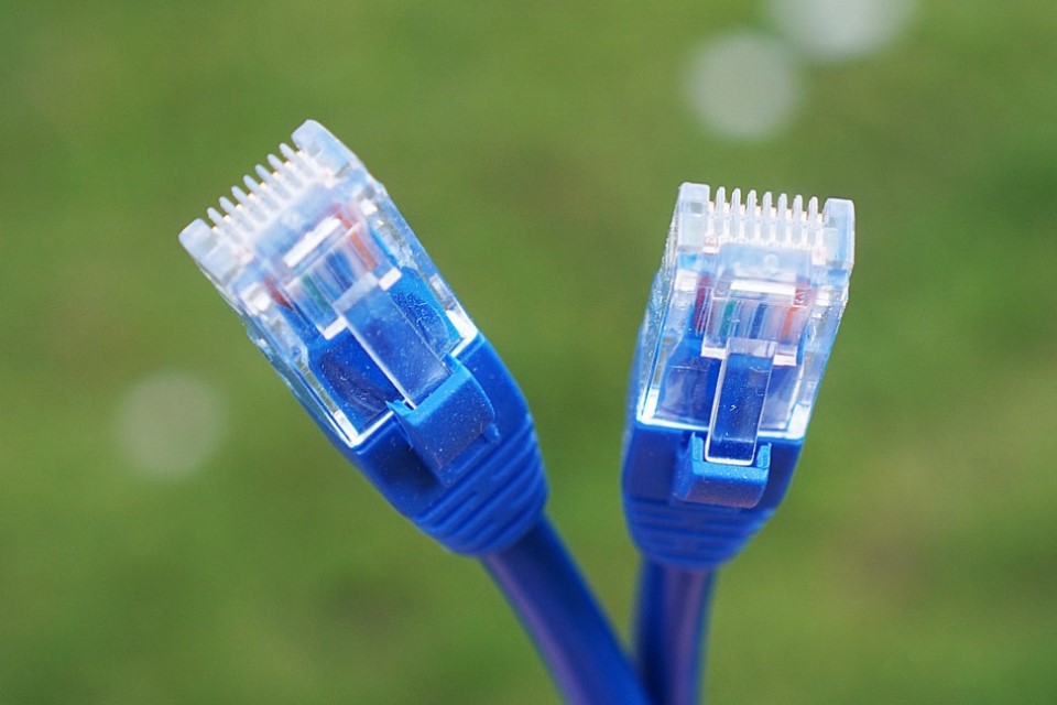 Two blue cat cables