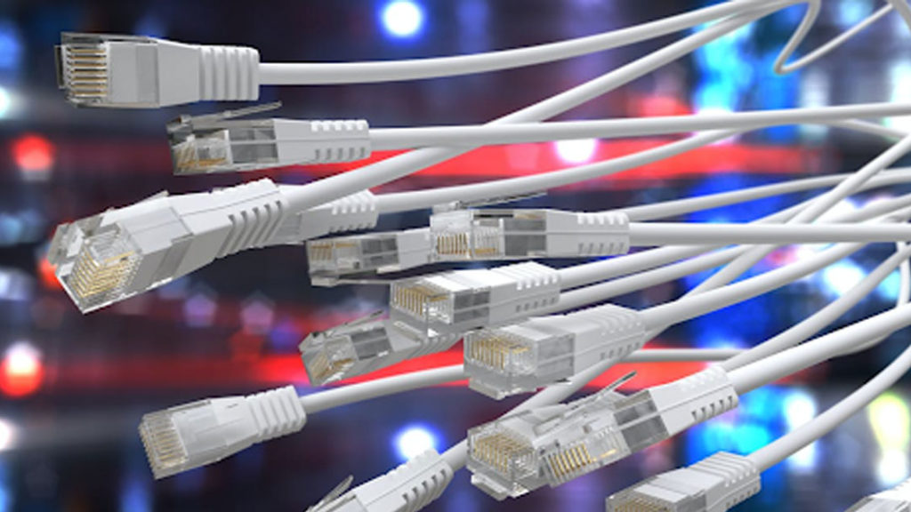 ethernet cable bunch
