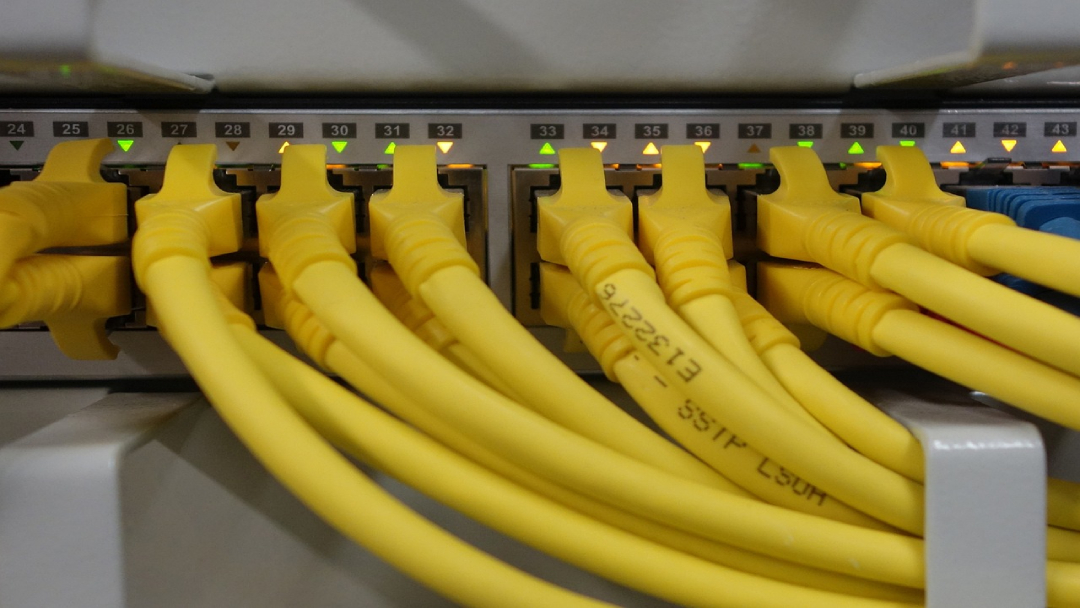 Network cables plugged into ports