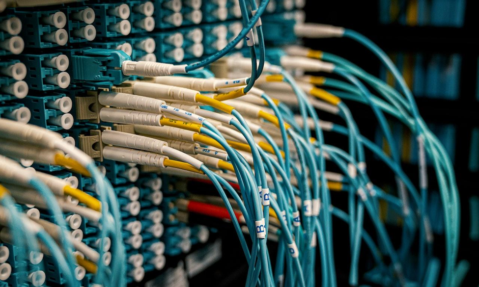 Fiber optic cables plugged into a patch panel